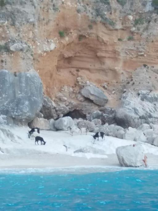 Appartamento Dommu Amsicora Baunei Esterno foto